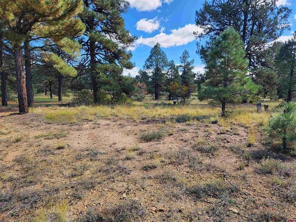0.27 Acres of Residential Land for Sale in Pagosa Springs, Colorado