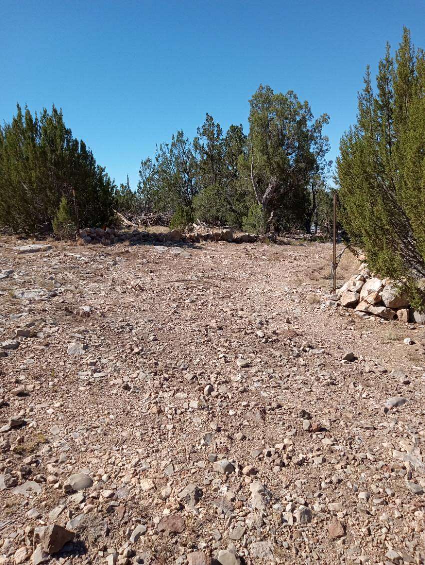 5 Acres of Land for Sale in Seligman, Arizona