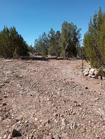 5 Acres of Land for Sale in Seligman, Arizona