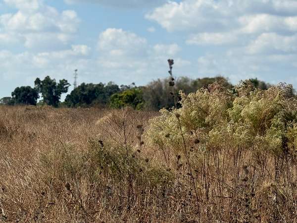 25 Acres of Land for Sale in Thonotosassa, Florida