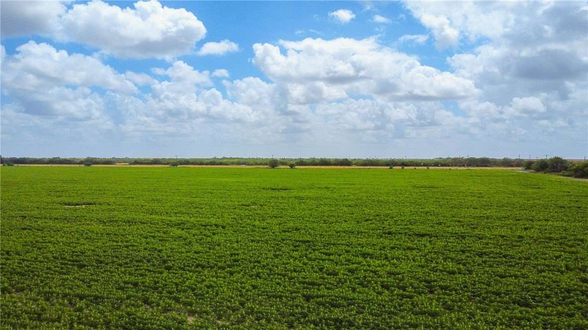 60 Acres of Land for Sale in Alice, Texas