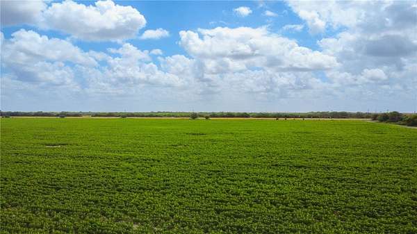 60 Acres of Land for Sale in Alice, Texas