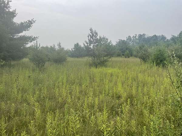 40 Acres of Recreational Land for - Indian River Mi 145936295