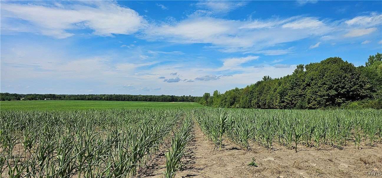 108 Acres of Agricultural Land for Sale in Ovid, New York