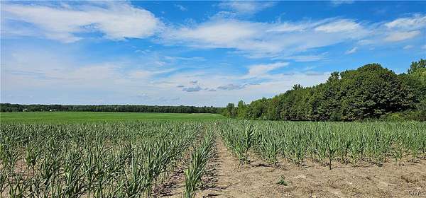 108 Acres of Agricultural Land for Sale in Ovid, New York