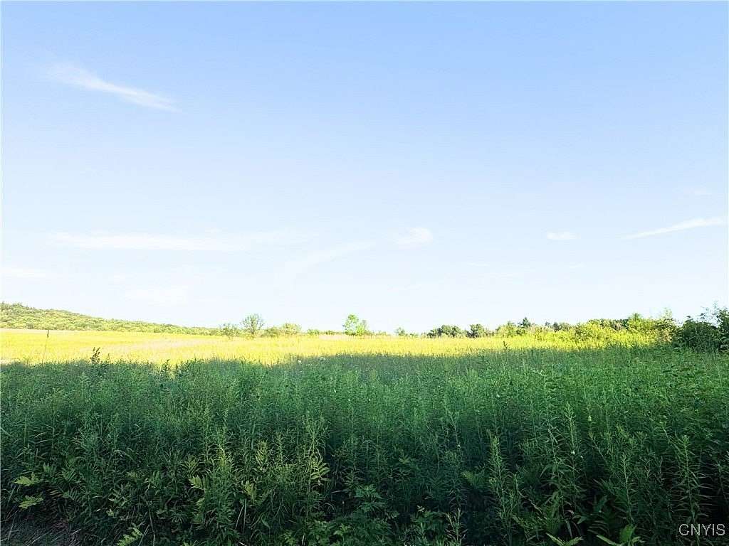56.3 Acres of Recreational Land for Sale in Waterville, New York