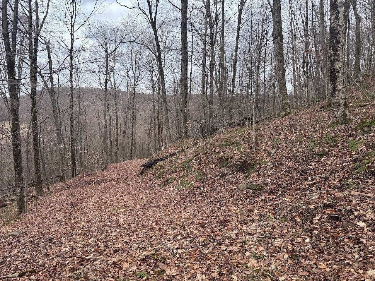 50 Acres of Recreational Land for Sale in Delhi, New York