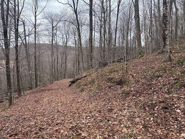 50 Acres of Recreational Land for Sale in Delhi, New York