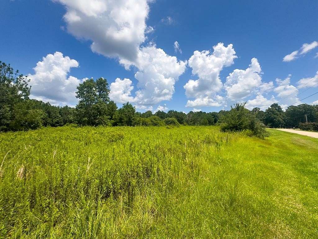 27 Acres of Land for Sale in Poplarville, Mississippi