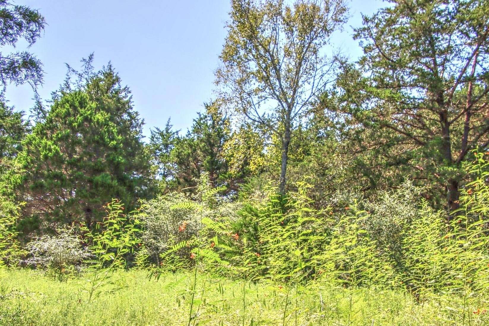 20.7 Acres of Land for Sale in Flatonia, Texas