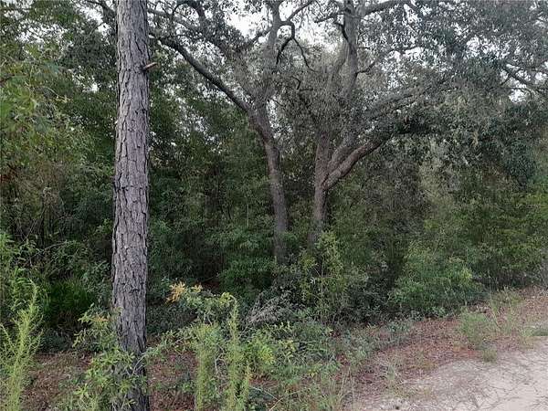 1.25 Acres of Residential Land for Sale in Bronson, Florida