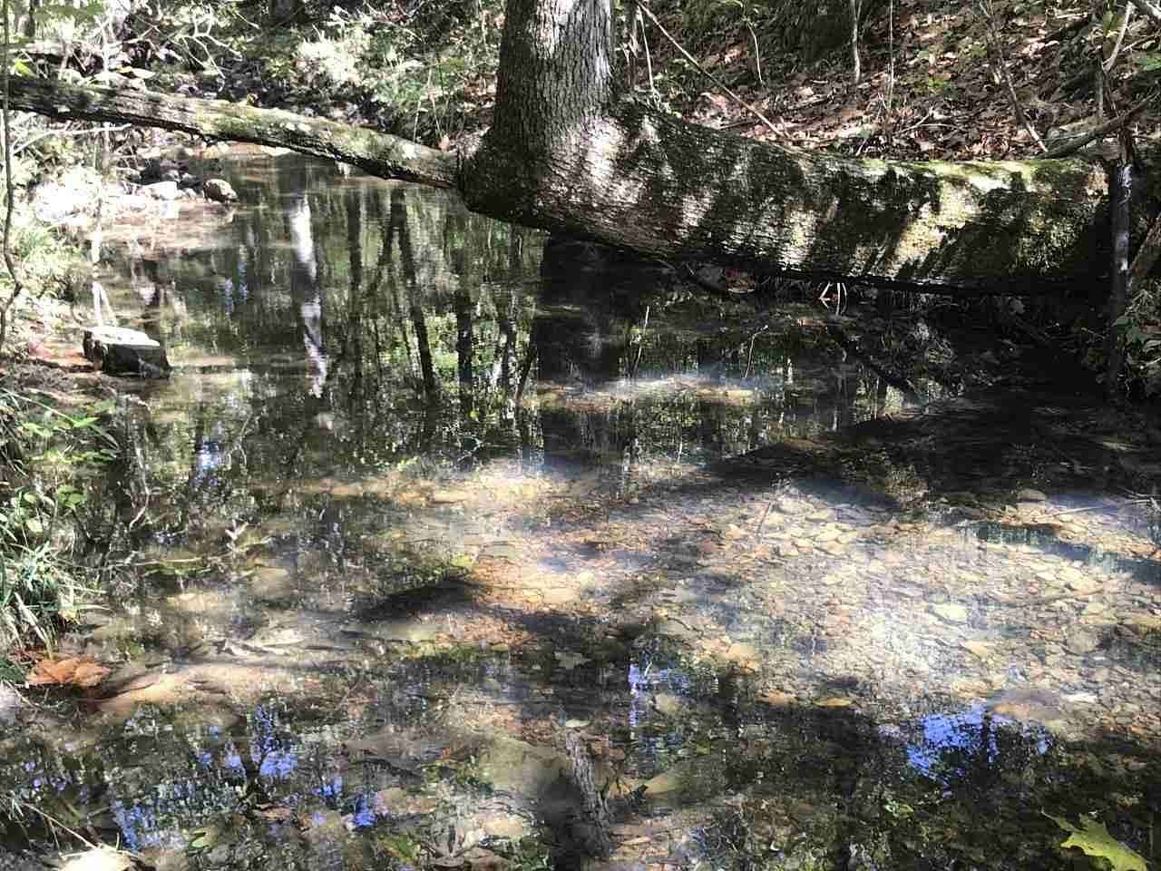 96 Acres of Recreational Land for Sale in Williford, Arkansas