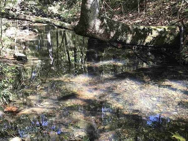 96 Acres of Recreational Land for Sale in Williford, Arkansas