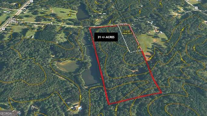 31 Acres of Recreational Land for Sale in Moreland, Georgia