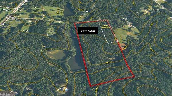 31 Acres of Recreational Land for Sale in Moreland, Georgia