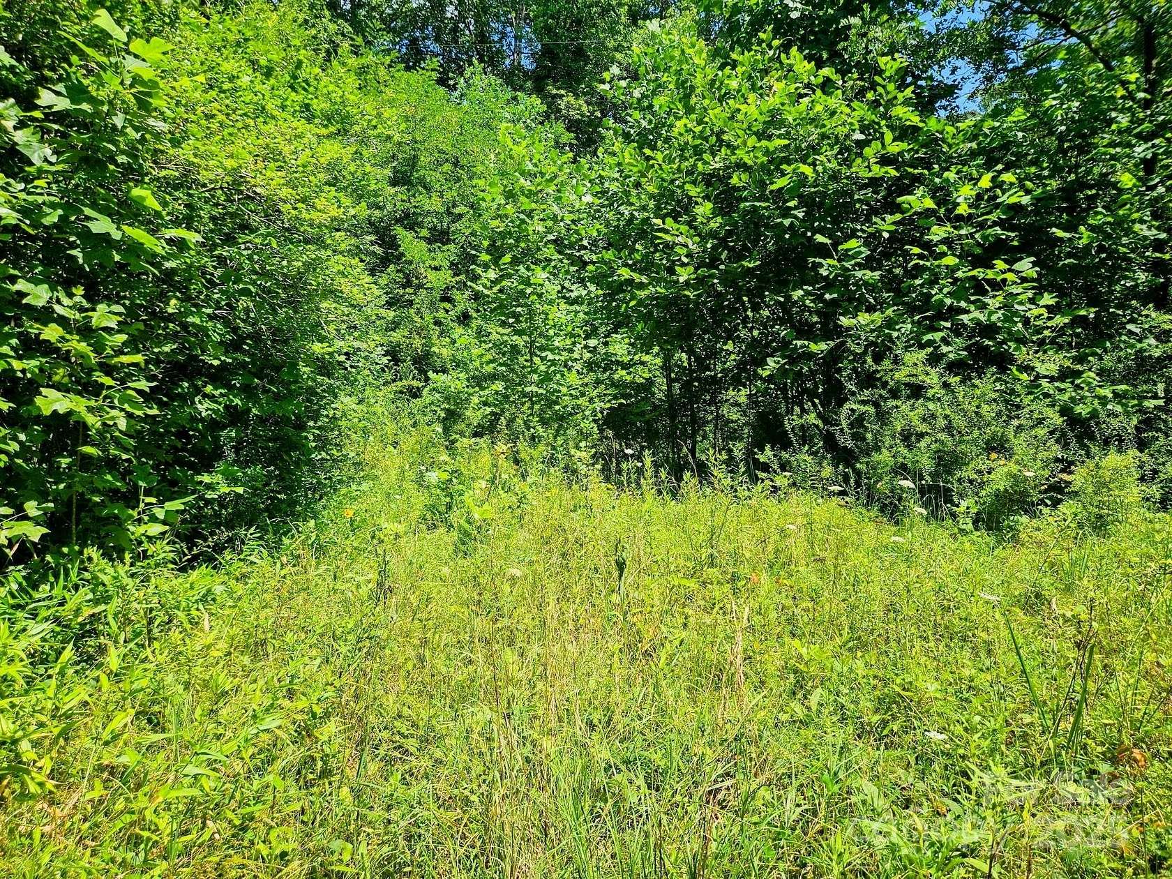 4 Acres of Residential Land for Sale in Burnsville, North Carolina