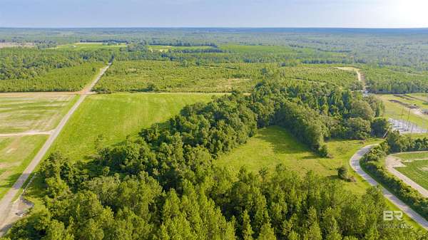 14.6 Acres of Land for Sale in Jay, Florida