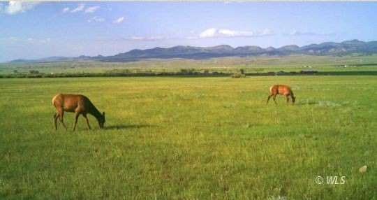 80 Acres of Land for Sale in Westcliffe, Colorado