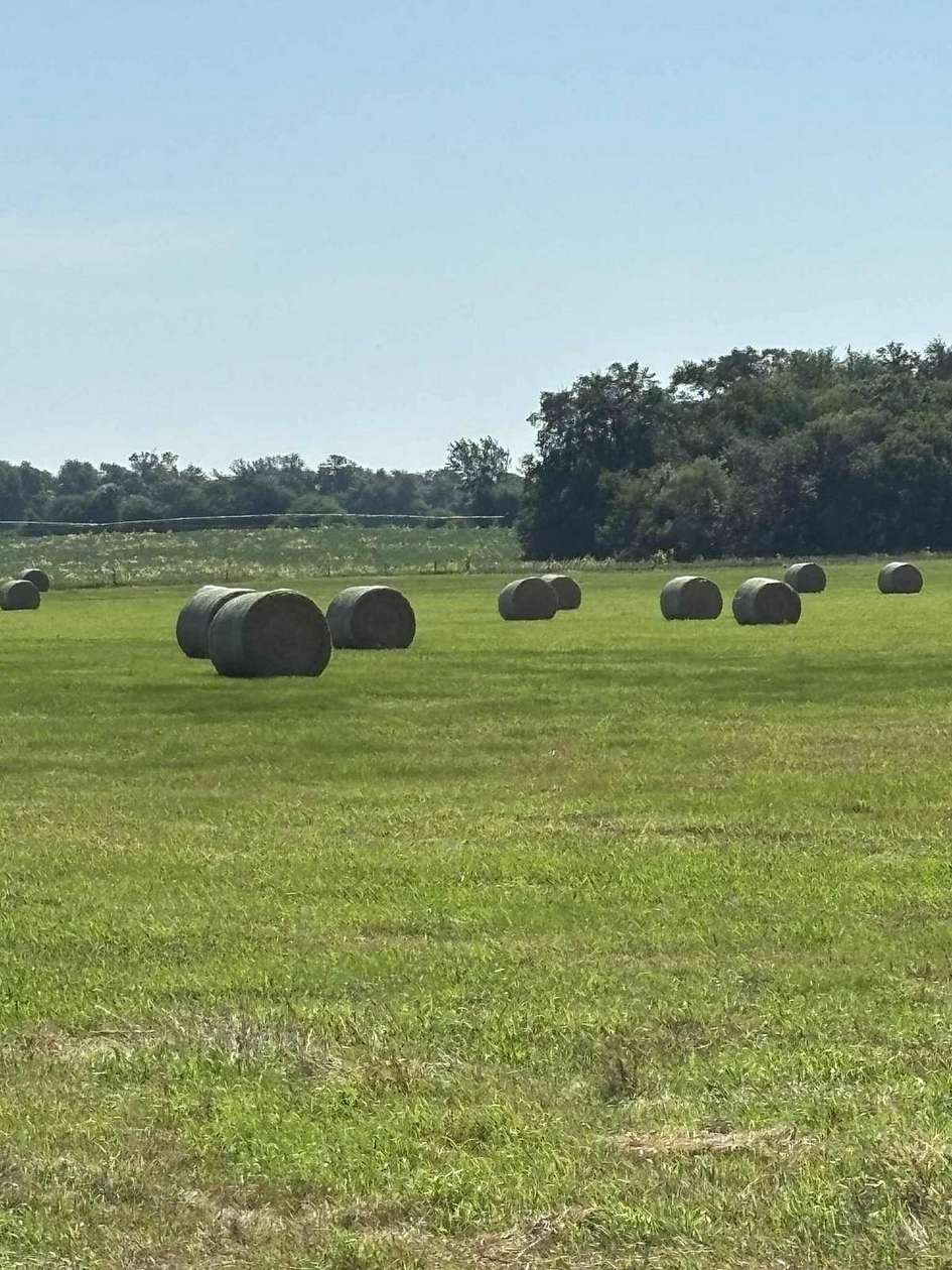 159 Acres of Agricultural Land for Sale in Willow Township, Nebraska