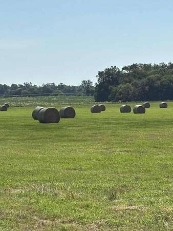 159 Acres of Agricultural Land for Sale in Willow Township, Nebraska