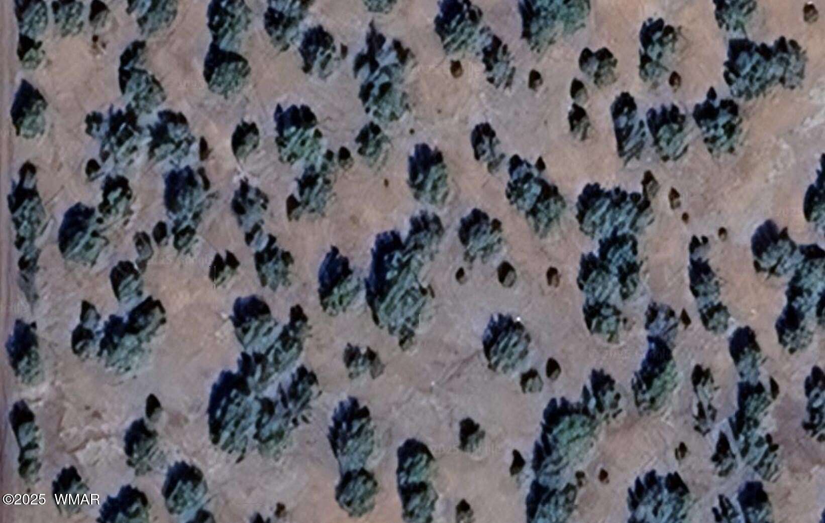 1.27 Acres of Residential Land for Sale in Concho, Arizona