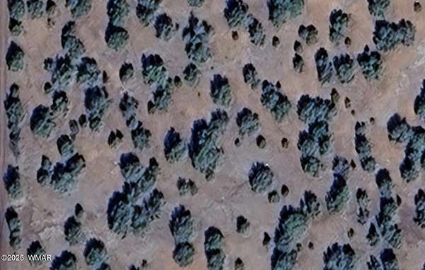 1.27 Acres of Residential Land for Sale in Concho, Arizona