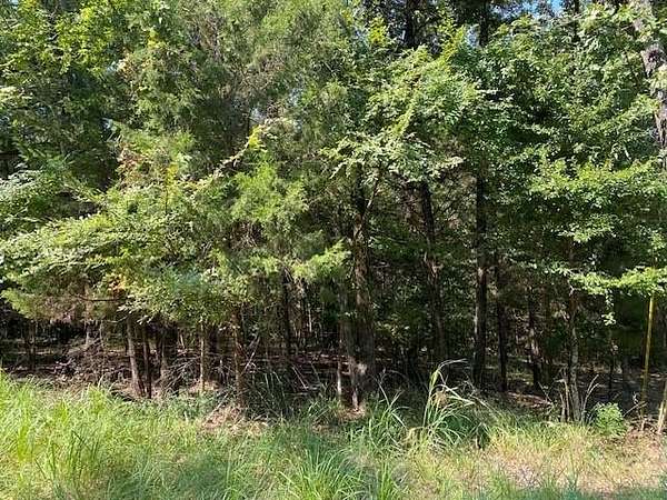 0.17 Acres of Residential Land for Sale in Mabank, Texas