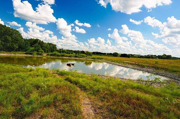 39.1 Acres of Agricultural Land for Sale in Flatonia, Texas