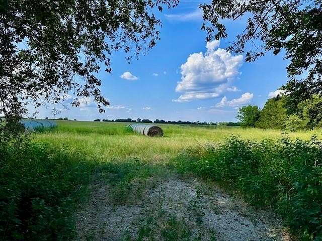 20 Acres of Mixed-Use Land for Sale in Bailey, Texas