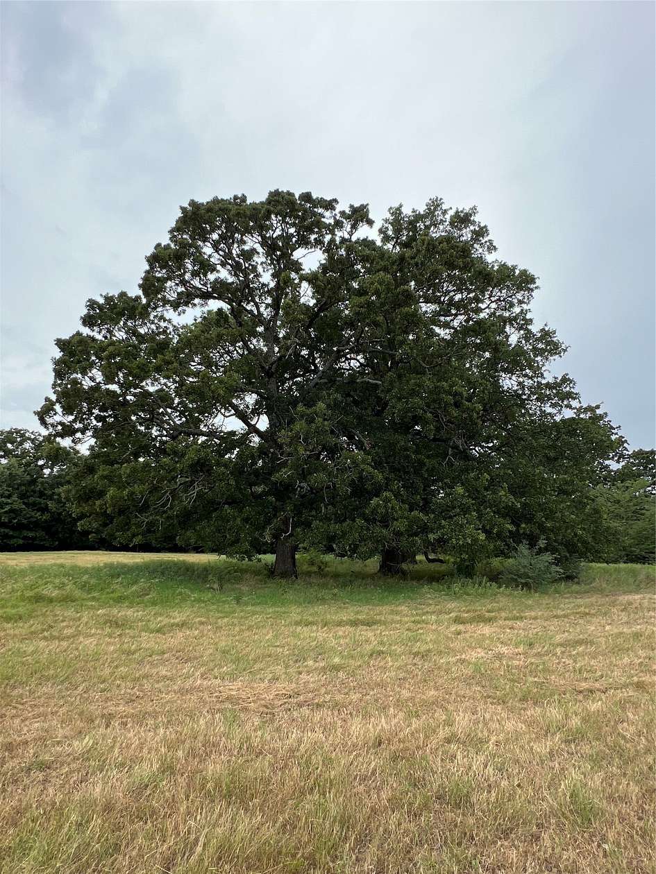 2 Acres of Residential Land for Sale in Dike, Texas