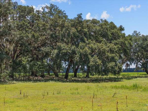 38 Acres of Land for Sale in Old Town, Florida