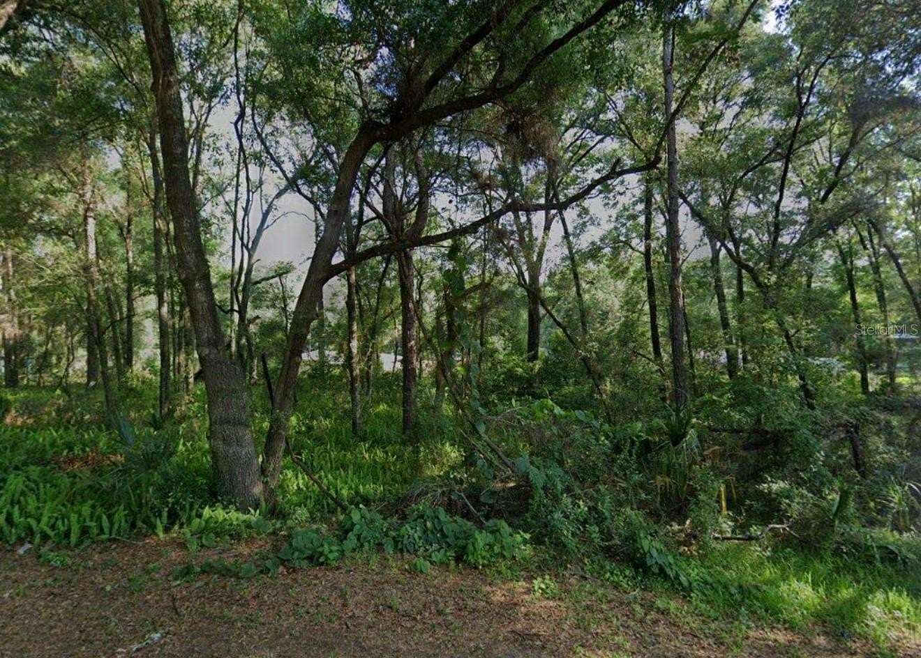 0.22 Acres of Residential Land for Sale in Inverness, Florida