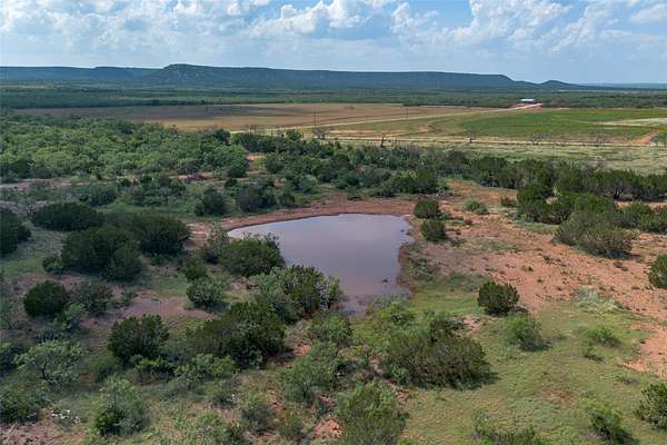 52.2 Acres of Land for Sale in Winters, Texas