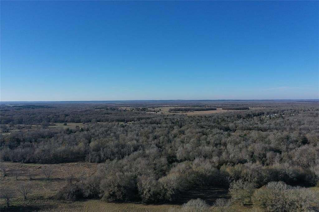11.5 Acres of Land for Sale in Tennessee Colony, Texas