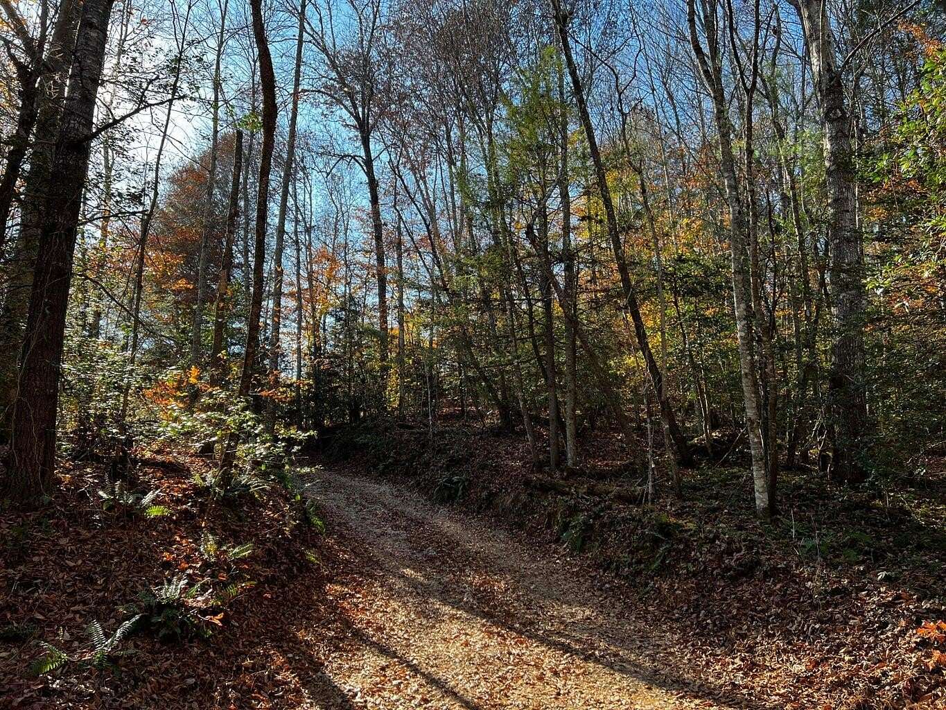 50 Acres of Land for Sale in Zoe, Kentucky