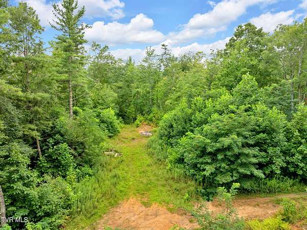 15 Acres of Land for Sale in Roan Mountain, Tennessee