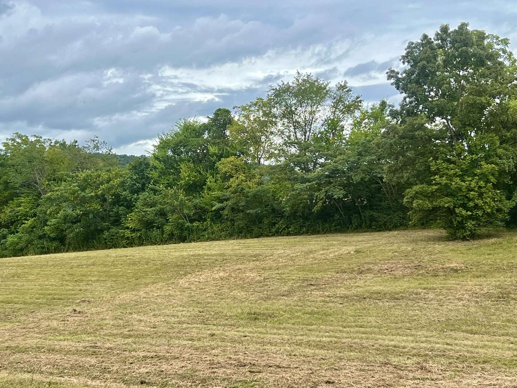 4.5 Acres of Residential Land for Sale in Etowah, Tennessee