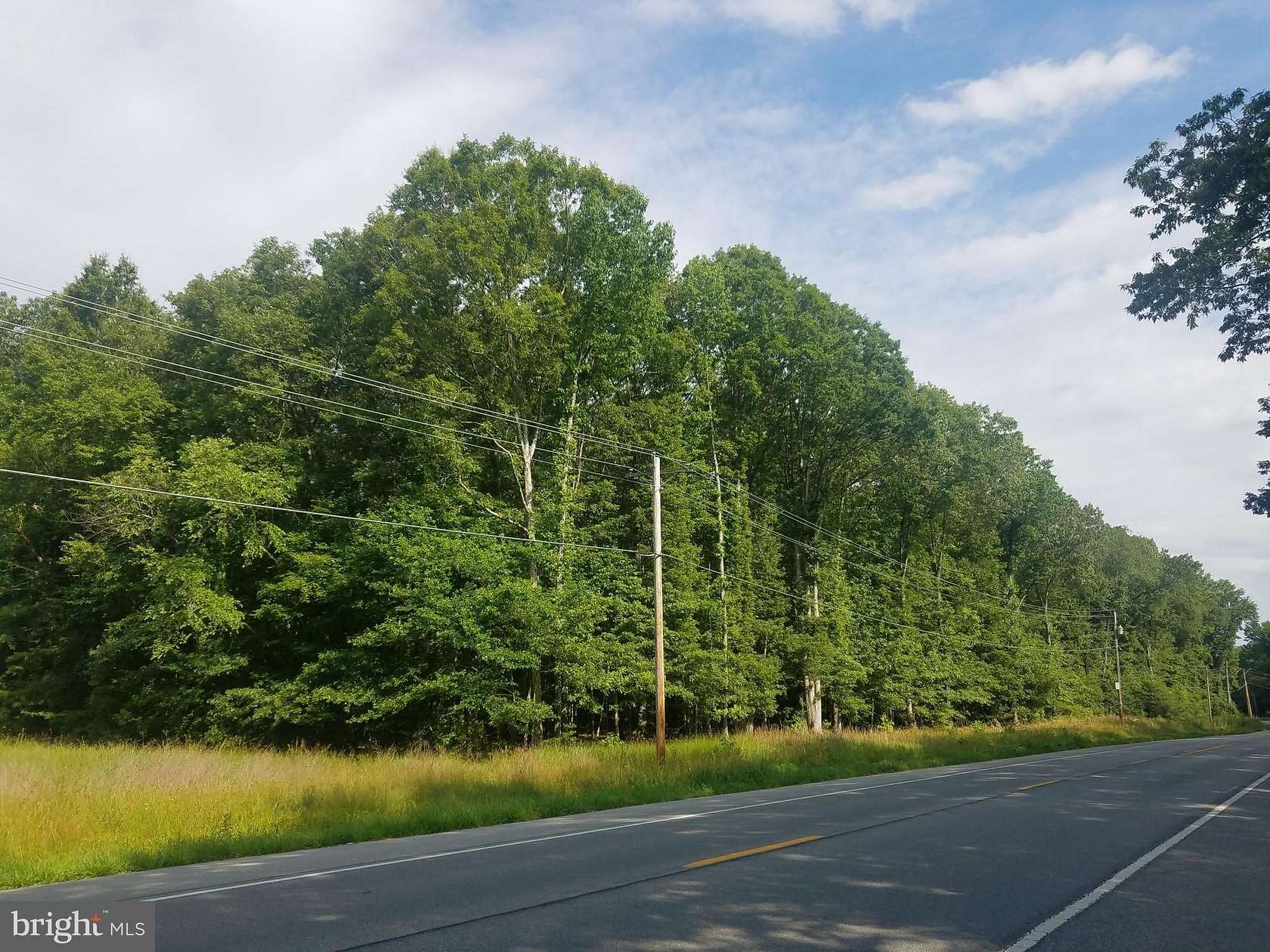 35.2 Acres of Recreational Land for Sale in La Plata, Maryland