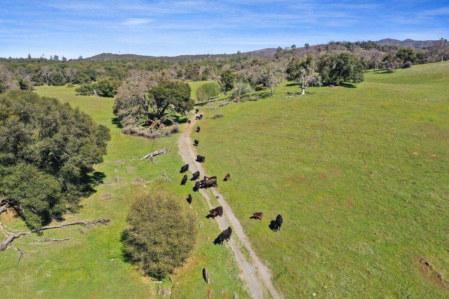 127 Acres of Land for Sale in San Andreas, California