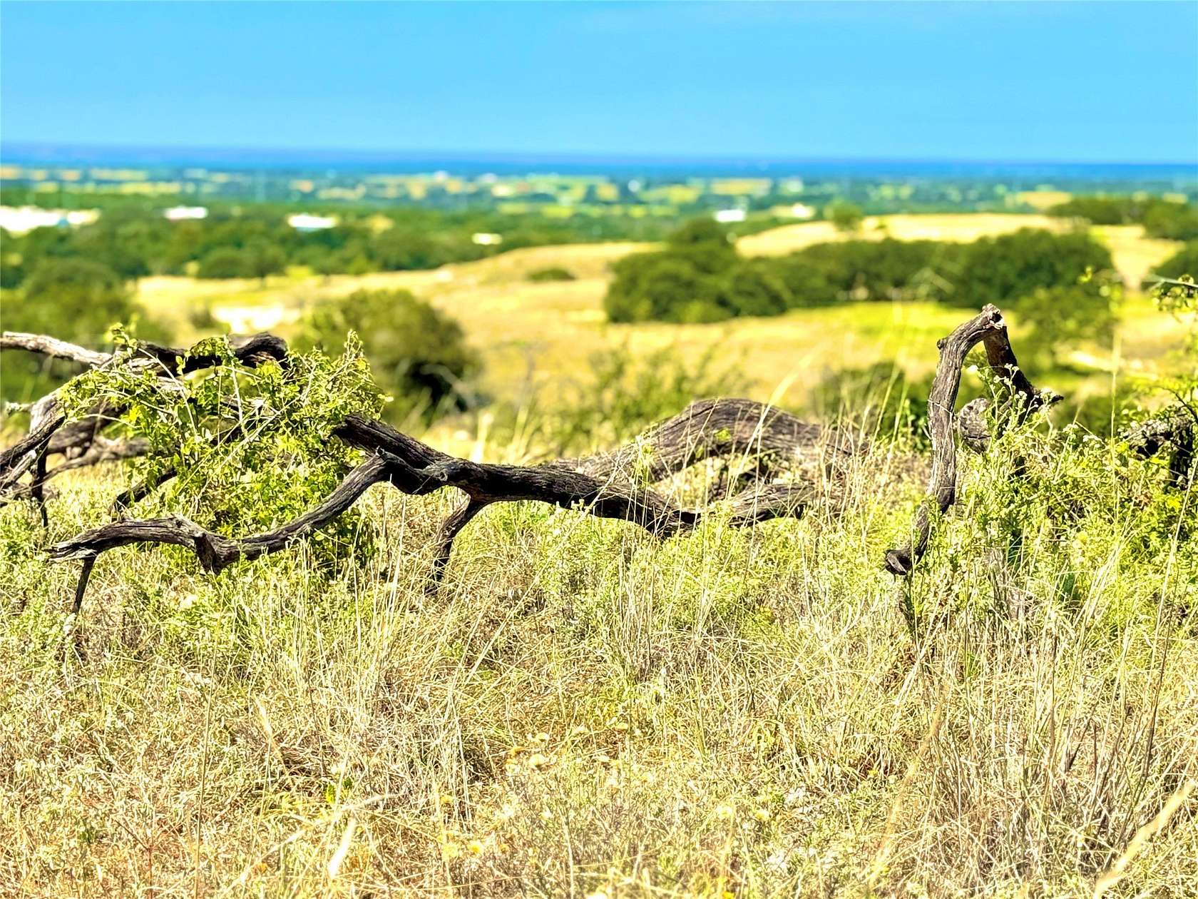 20 Acres of Land for Sale in Goldthwaite, Texas