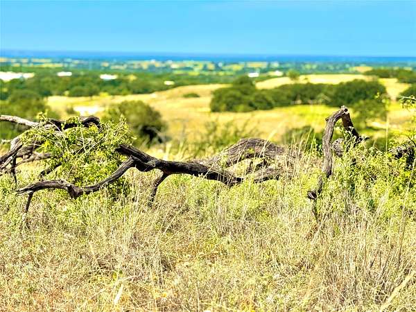 20 Acres of Land for Sale in Goldthwaite, Texas