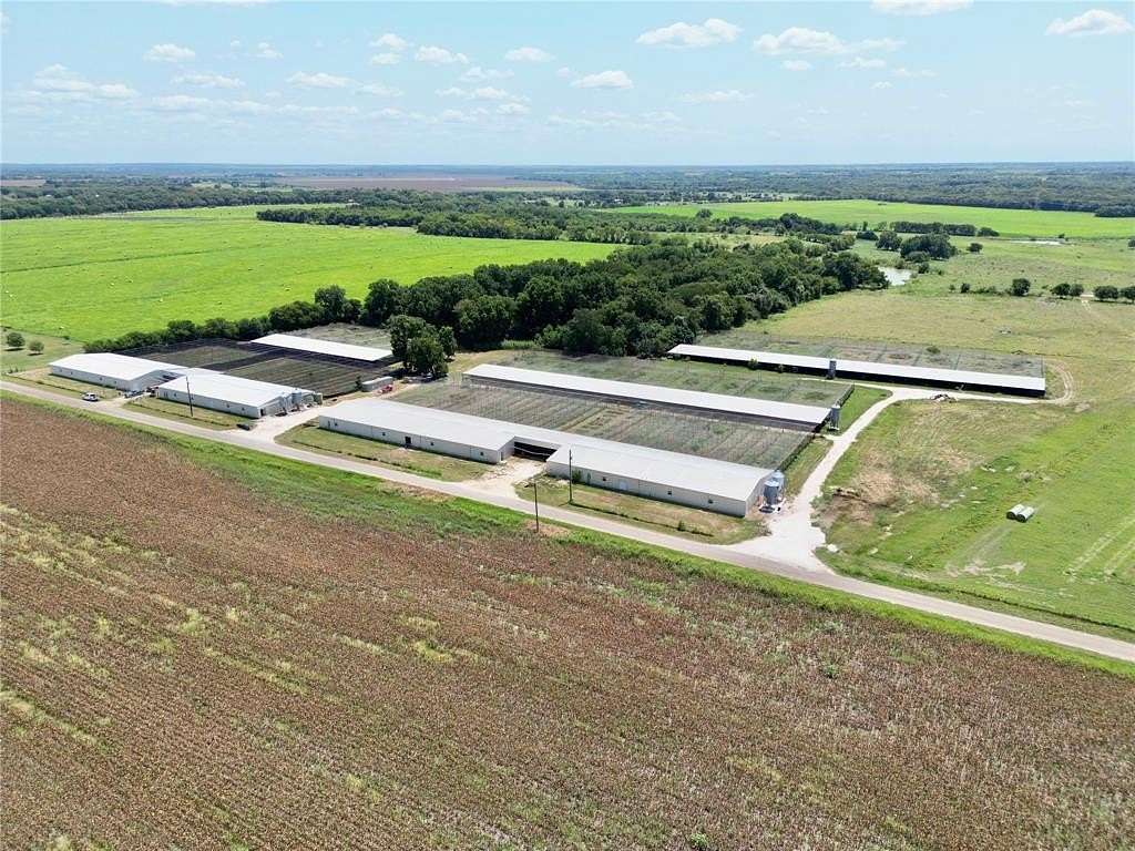 12 Acres of Agricultural Land for Sale in Forreston, Texas