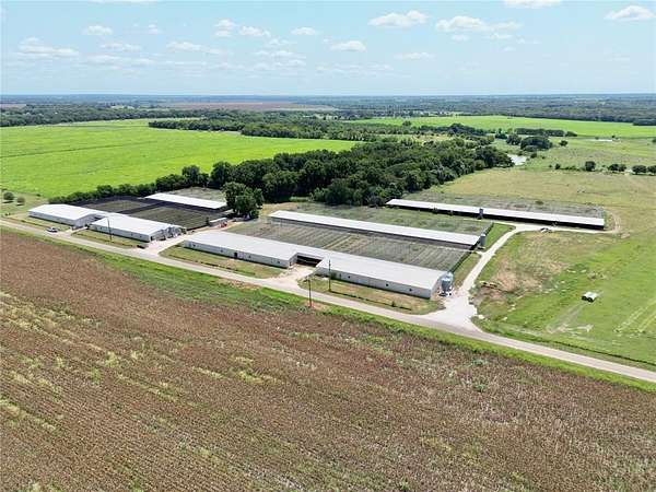 12 Acres of Agricultural Land for Sale in Forreston, Texas
