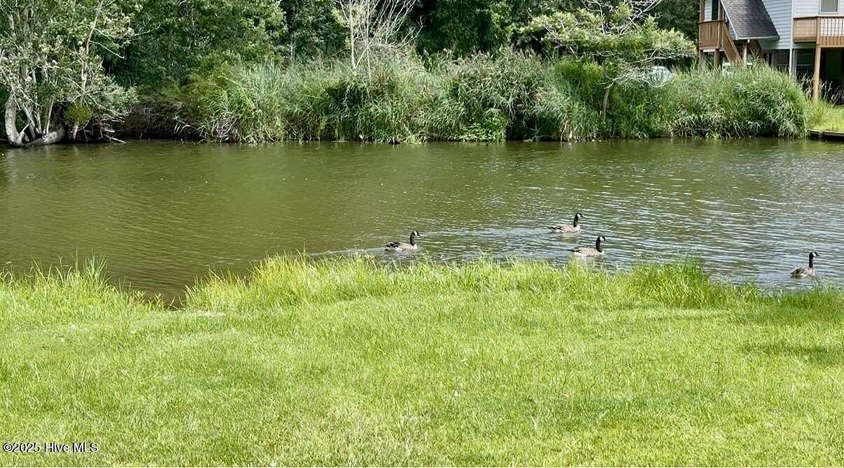 0.29 Acres of Residential Land for Sale in Hertford, North Carolina