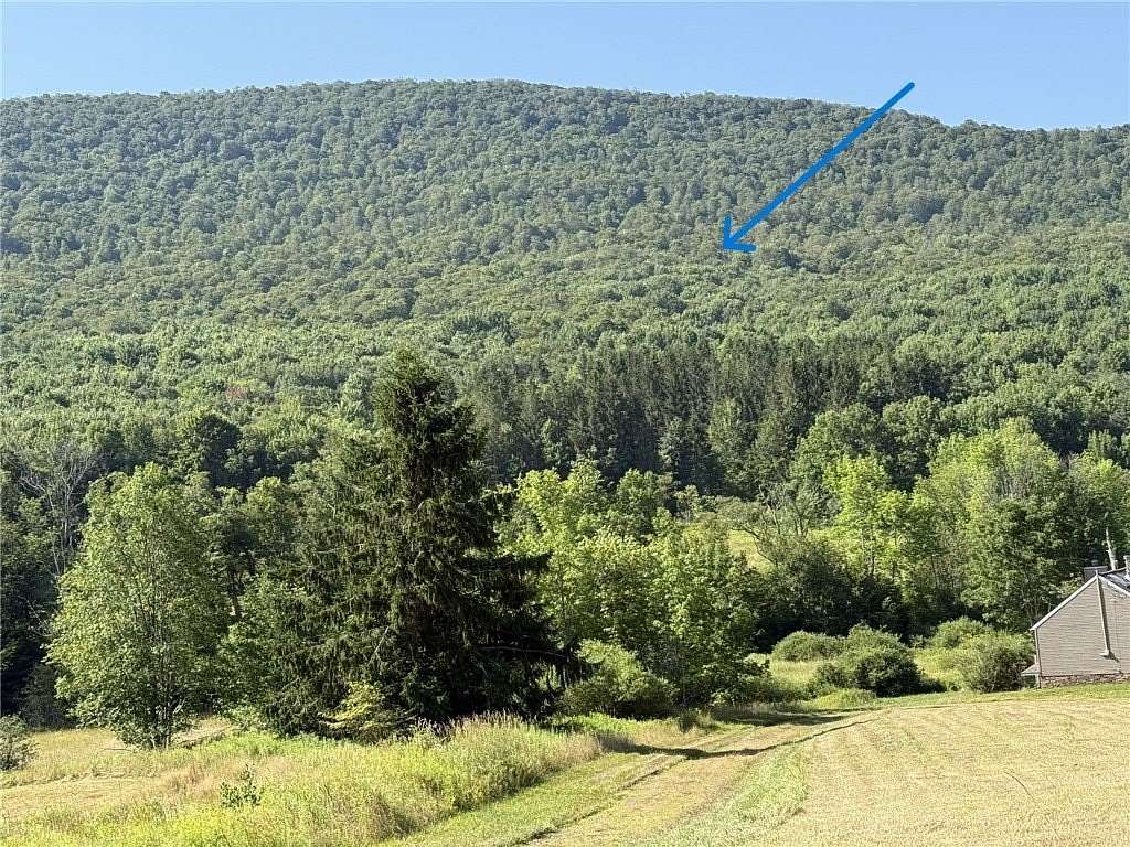 105 Acres of Recreational Land for Sale in Hobart, New York