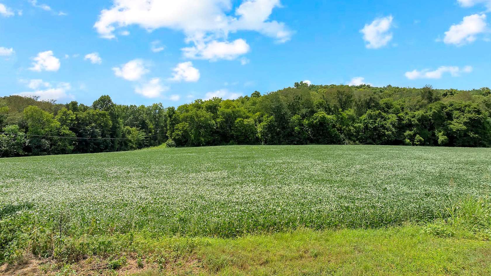 99 Acres of Land for Sale in Normandy, Tennessee