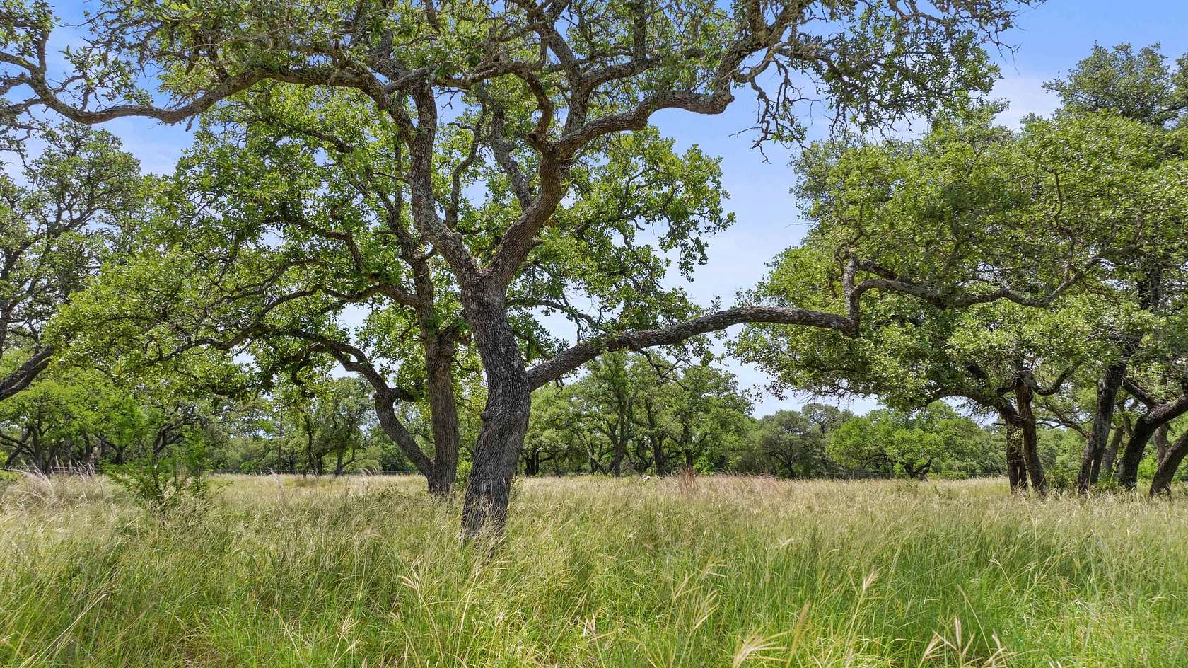 25.1 Acres of Recreational & Residential Land for Sale in Johnson City, Texas