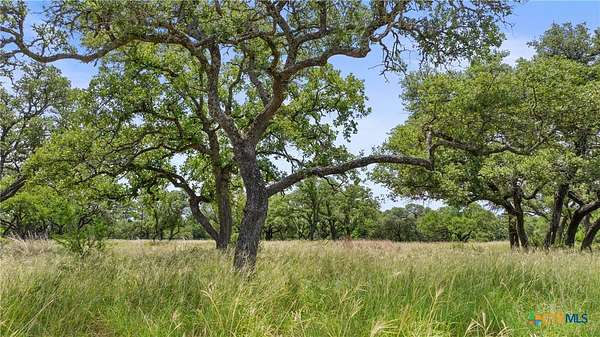25.1 Acres of Recreational Land for Sale in Johnson City, Texas