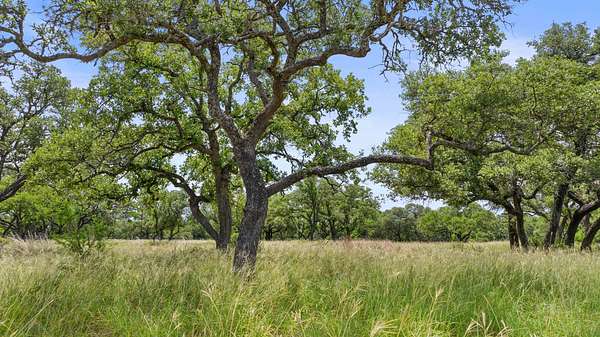 25.1 Acres of Recreational & Residential Land for Sale in Johnson City, Texas