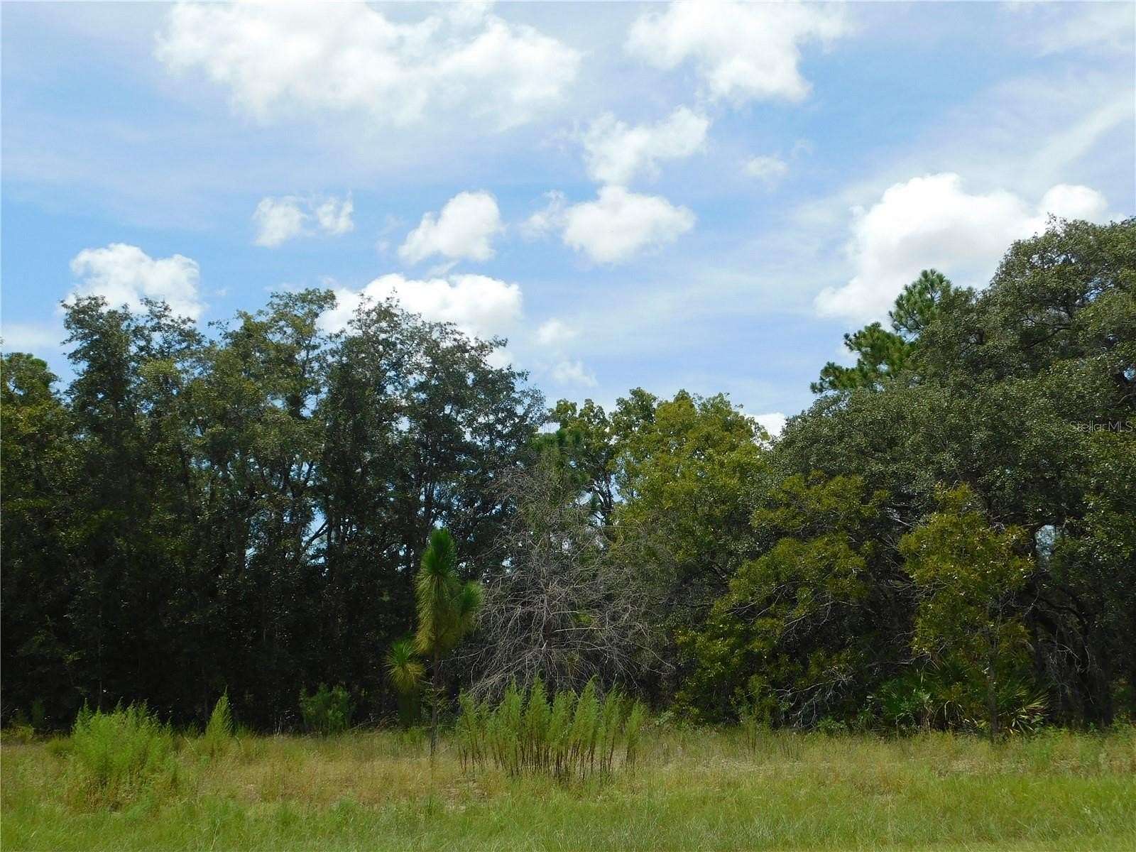 0.27 Acres of Residential Land for Sale in Dunnellon, Florida